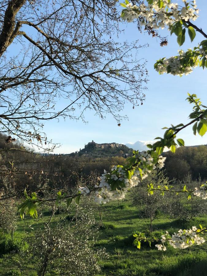 基安奇安诺泰尔梅Agriturismo Fonteleccino别墅 外观 照片