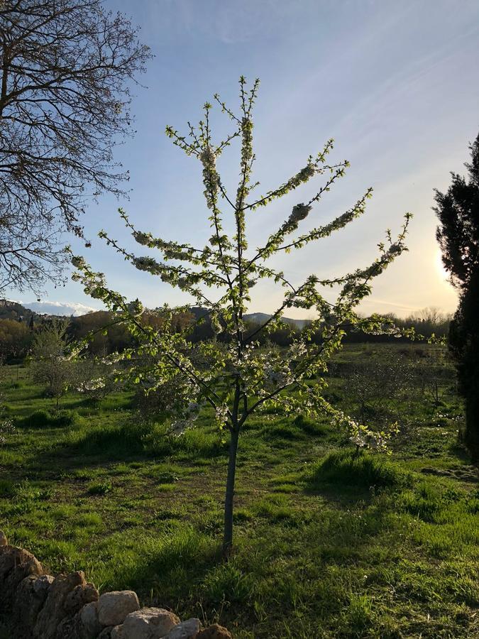 基安奇安诺泰尔梅Agriturismo Fonteleccino别墅 外观 照片